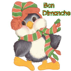 Gif animé Bon dimanche pingouin